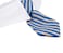 ZTON Pet Bowtie Handcrafted Adjustable Formal Collar Neck Tie for Dogs Cats L Blue Stripe