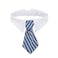 ZTON Pet Bowtie Handcrafted Adjustable Formal Collar Neck Tie for Dogs Cats L Blue Stripe
