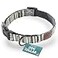 Embark Pets Embark Adventure Medium Dog Collar Stylish Durable Nylon Adjustable Comfortable Strong Buckle