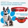 Gracie To E Collar Replacement Strap Compatible with SportDog Petsafe Invisible Fence Durable Buckle for Easy onOff 34 Purple