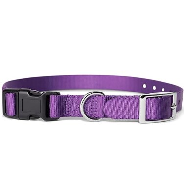 Gracie To E Collar Replacement Strap Compatible with SportDog Petsafe Invisible Fence Durable Buckle for Easy onOff 34 Purple