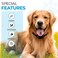 Gracie To eCollar Replacement Strap Bungee Style Waterproof Polyurethane Collar Compatible with Garmin Dogtra SportDOG Educator Black 34 Width