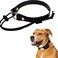 Gracie To eCollar Replacement Strap Bungee Style Waterproof Polyurethane Collar Compatible with Garmin Dogtra SportDOG Educator Black 34 Width