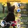 Educator ECollar Dog Training Collar Rechargeable Remote Finger Clicker for Small to Medium Dogs Humane Tapping Stimulation 100 Levels Tone Light 12 Mile 2 Dogs Zen