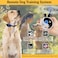 Educator ECollar Dog Training Collar Rechargeable Remote Finger Clicker for Small to Medium Dogs Humane Tapping Stimulation 100 Levels Tone Light 12 Mile 2 Dogs Zen