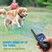 Petrainer PET998DRB1 Dog Training Collar Rechargeable and Rainproof 330 yd Remote Dog Training Collar with Beep Vibra and Static Electronic Collar black