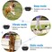 Petrainer PET998DRB1 Dog Training Collar Rechargeable and Rainproof 330 yd Remote Dog Training Collar with Beep Vibra and Static Electronic Collar black