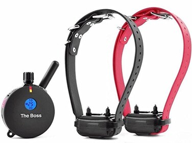 Educator ECollar Humane Dog Training Collar with Remote 100 Safe Tapping Stimulation Levels Night Light Waterproof Rechargeable 1 Mile 2 Large Dogs Black