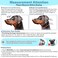 BARKLESS Soft Dog Head Collar Patented Padded No Pull Head Halter Training Nose Leash with Safety Link for Medium Large Dogs Adjustable Muzzle Leash Easy Control for WalkingBlack L