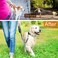 JIPIMON Prong Collar for Dogs Adjustable No Pull Dog Choke Pinch Training Collar with Comfortable Rubber Tip for Small Medium Large Dogs Medium Black
