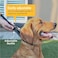 SVD.PET SVDPET Dog Prong Collar for NoPull Training QuickRelease Buckle Adjustable Pinch Collar for Small Dogs Black Small Size Suitable Neck Girth 710