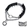 HAESINPA Prong Training Collar for Dogs Adjustable Dog Pinch Collar with Quick Release Buckle No Pull Collar for Small Medium Large Dogs Extra Link and Caps