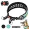 Mayerzon Martingale No Pull Collar for Large Medium Dogs Pitbull German Shepherd Rottweilers Patented Reflective Anti Pull Dog Walking Collar with Buckle for Training Hiking AdjustableL Cyan
