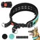 Mayerzon Martingale No Pull Collar for Large Medium Dogs Pitbull German Shepherd Rottweilers Patented Reflective Anti Pull Dog Walking Collar with Buckle for Training Hiking AdjustableL Cyan