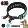 Mayerzon Martingale No Pull Collar for Large Medium Dogs Pitbull German Shepherd Rottweilers Patented Reflective Anti Pull Dog Walking Collar with Buckle for Training Hiking AdjustableL Cyan