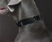 Alainzeo Martingale Dog Collar Heavyduty Nylon Dog Collar Black Medium