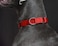 Alainzeo Martingale Dog Collar Heavyduty Nylon Dog Collar Red Large