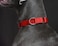 Alainzeo Martingale Dog Collar Heavyduty Nylon Dog Collar Red Large