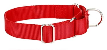 Alainzeo Martingale Dog Collar Heavyduty Nylon Dog Collar Red Large