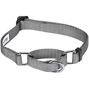 Blueberry Pet Essentials Martingale Safety Training Dog Collar Flint Gray Small Heavy Duty Nylon Adjustable Collars for Dogs