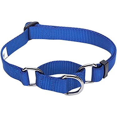 Blueberry Pet Essentials Martingale Safety Training Dog Collar Royal Blue Small Heavy Duty Nylon Adjustable Collars for Dogs