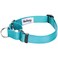 Blueberry Pet Essentials Martingale Safety Training Dog Collar Turquoise Small Heavy Duty Nylon Adjustable Collars for Dogs