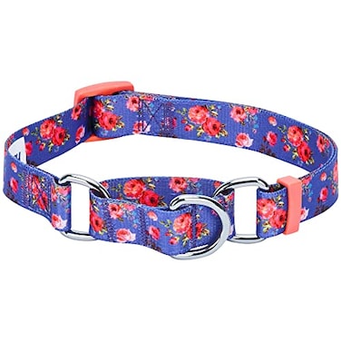 Blueberry Pet Spring Scent Inspired Rose Print Martingale Safety Training Dog Collar Irish Blue Large Heavy Duty Adjustable Collars for Dogs