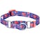 Blueberry Pet Spring Scent Inspired Rose Print Martingale Safety Training Dog Collar Irish Blue Large Heavy Duty Adjustable Collars for Dogs