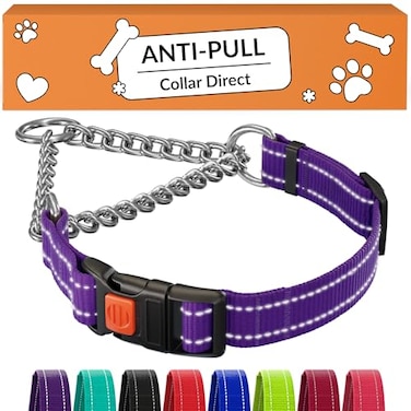 CollarDirect Martingale Dog Collar Heavy Duty Nylon Slip Collars for Small Medium Large Dogs Nylon Patterned Aquamarine L 1520