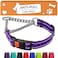 CollarDirect Martingale Dog Collar Heavy Duty Nylon Slip Collars for Small Medium Large Dogs Nylon Patterned Aquamarine L 1520