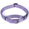 Cyclpet Premium Nylon Adjustable AntiEscape Martingale Dog CollarsComfortDurable and Silky WalkingTraining Dog Collar with Sturdy DRing for Small Active Dogs Daily Helper Ultra Violet Small