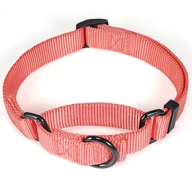 Cyclpet Premium Nylon Adjustable AntiEscape Martingale Dog CollarsDurableComfort and Silky Dog Collar with Hardware DRing for Large Dogs WalkingTrainingetcLiving Coral Large