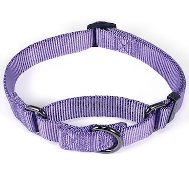Cyclpet Premium Nylon Adjustable AntiEscape Martingale Dog CollarsSoft and Silky Dog Collar with Heavy Duty DRing for Large Active Dogs TrainingWalking Ultra Violet Large