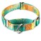Dazzber Martingale Dog Collar EscapeProof for Training NoBuckle Durable Polyester Design for Medium Breeds Deserts and OasesM
