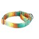 Dazzber Martingale Dog Collar EscapeProof for Training NoBuckle Durable Polyester Design for Medium Breeds Deserts and OasesM