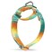 Dazzber Martingale Dog Collar EscapeProof for Training NoBuckle Durable Polyester Design for Medium Breeds Deserts and OasesM