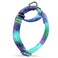 Dazzber Martingale Dog Collar EscapeProof for Training NoBuckle Durable Polyester Design for Medium Breeds Ecological Oasis M