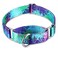 Dazzber Martingale Dog Collar EscapeProof for Training NoBuckle Durable Polyester Design for Medium Breeds Ecological Oasis M