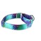 Dazzber Martingale Dog Collar EscapeProof for Training NoBuckle Durable Polyester Design for Medium Breeds Ecological Oasis M