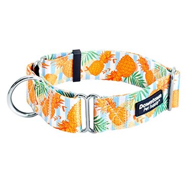 Downtown Pet Supply Martingale Collar for Dogs Dog Training Collar Big Wide Thick Dog Collar EscapeProof Weatherproof Durable and Comfortable Pineapple Small Dog Collar