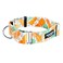 Downtown Pet Supply Martingale Collar for Dogs Dog Training Collar Big Wide Thick Dog Collar EscapeProof Weatherproof Durable and Comfortable Pineapple Small Dog Collar