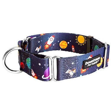 Downtown Pet Supply Martingale Collar for Dogs Dog Training Collar Big Wide Thick Dog Collar EscapeProof Weatherproof Durable and Comfortable Space Medium Dog Collar