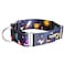 Downtown Pet Supply Martingale Collar for Dogs Dog Training Collar Big Wide Thick Dog Collar EscapeProof Weatherproof Durable and Comfortable Space Medium Dog Collar