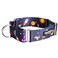 Downtown Pet Supply Martingale Collar for Dogs Dog Training Collar Big Wide Thick Dog Collar EscapeProof Weatherproof Durable and Comfortable Space Small Dog Collar