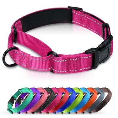 Erbine Martingale Collar for Dogs with Quick Release Buckle Reflective Soft Padded Escape Proof Adjustable Nylon Dog Collars for Training Daily Walking HotpinkS