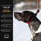 EzyDog Checkmate Martingale Collar for Dogs Premium Nylon Training Dog Collar for Easy Control with no Choking XLarge Black