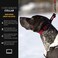 EzyDog Checkmate Martingale Collar for Dogs Premium Nylon Training Dog Collar for Easy Control with no Choking XLarge Black