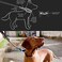 EzyDog Checkmate Martingale Collar for Dogs Premium Nylon Training Dog Collar for Easy Control with no Choking XLarge Black