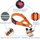 haapaw Martingale Dog Collar with Quick Release Buckle Reflective Dog Training Collars for Small Medium Large Dogs