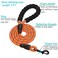 haapaw Martingale Dog Collar with Quick Release Buckle Reflective Dog Training Collars for Small Medium Large Dogs